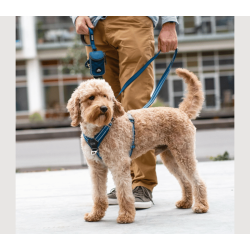 Dog Copenhagen Comfort Walk Air Sele 