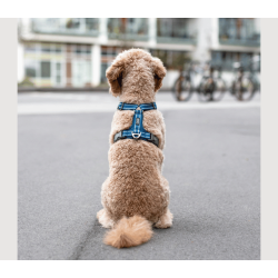 Dog Copenhagen Comfort Walk Air Sele 