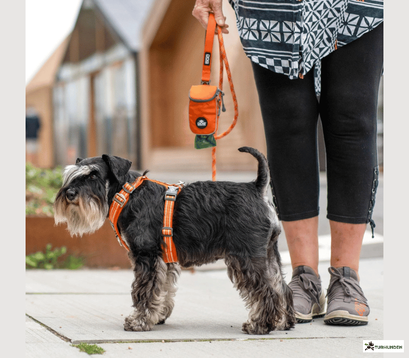 Dog Copenhagen Comfort Walk Air Sele 