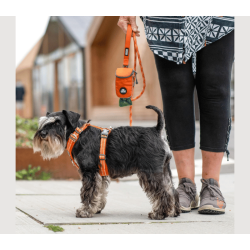 Dog Copenhagen Comfort Walk Air Sele 