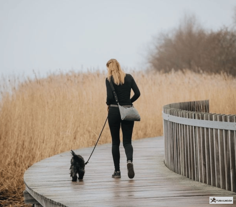 DogCoach Pack &amp; Carry Shell Jakke