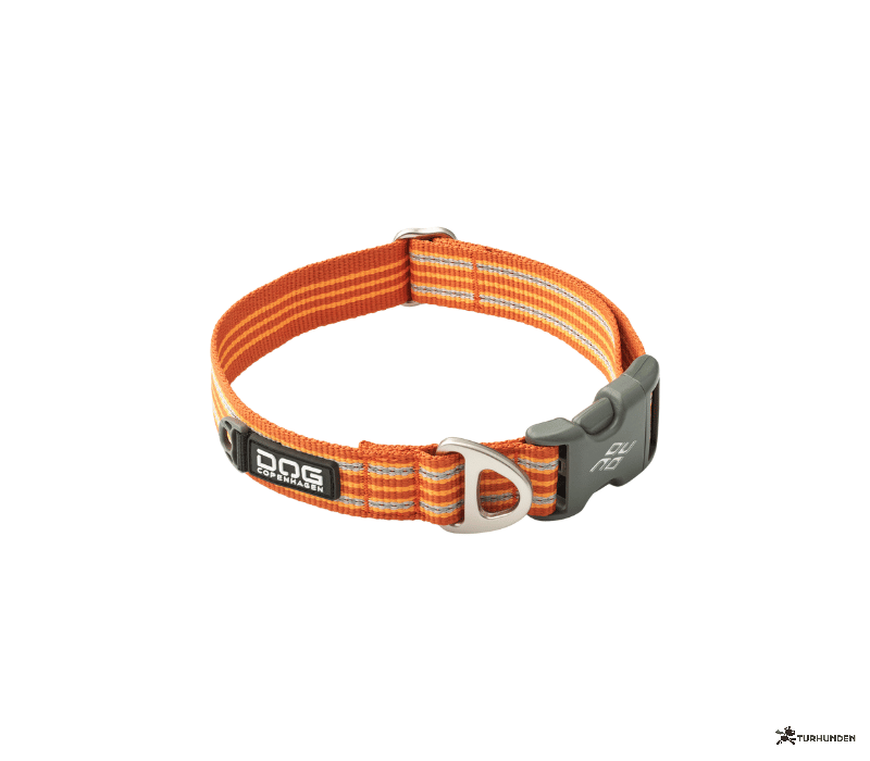 Dog Copenhagen Urban Freestyle Collar 3,0