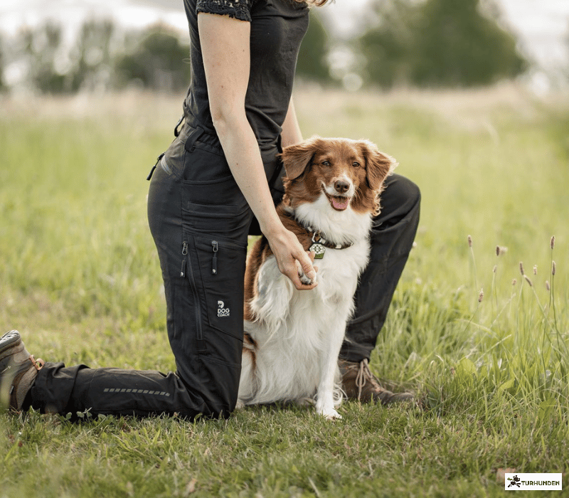 DogCoach Allround Bukser