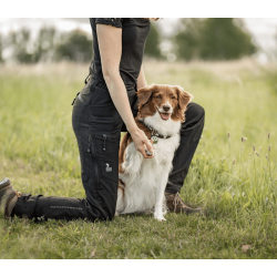 DogCoach Allround Bukser