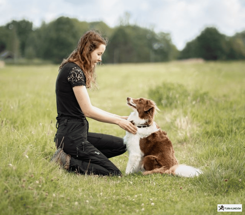 DogCoach Allround Bukser