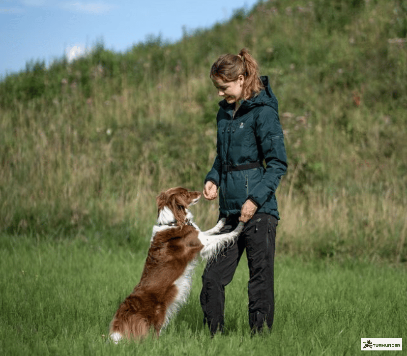 DogCoach Allround Bukser