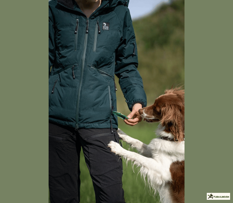 DogCoach Keep Dry 2.0 Overgangsjakke