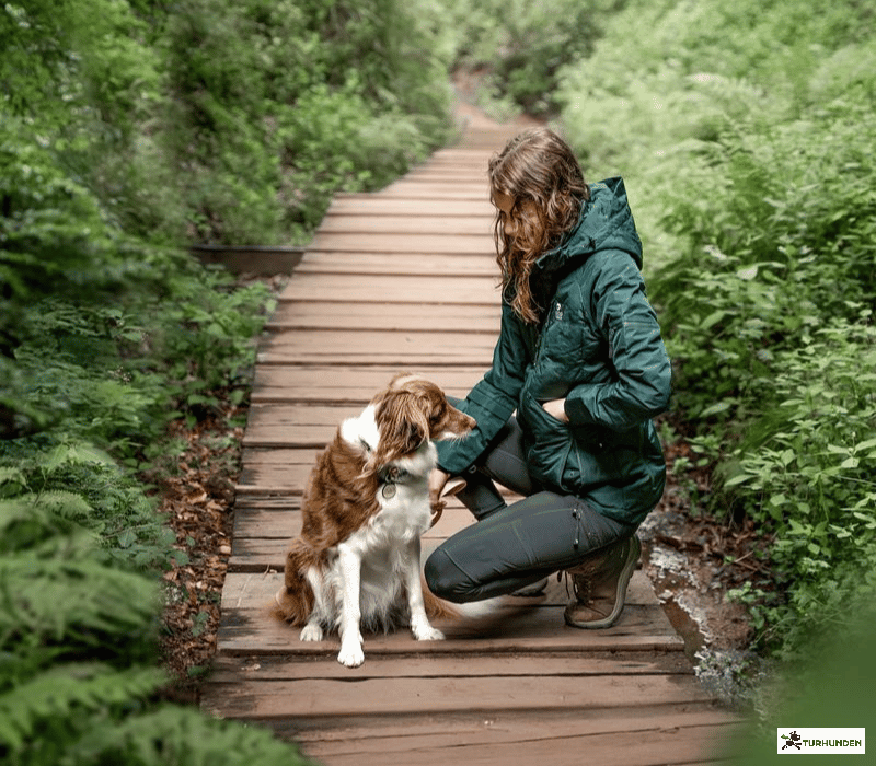 DogCoach Keep Dry 2.0 Overgangsjakke