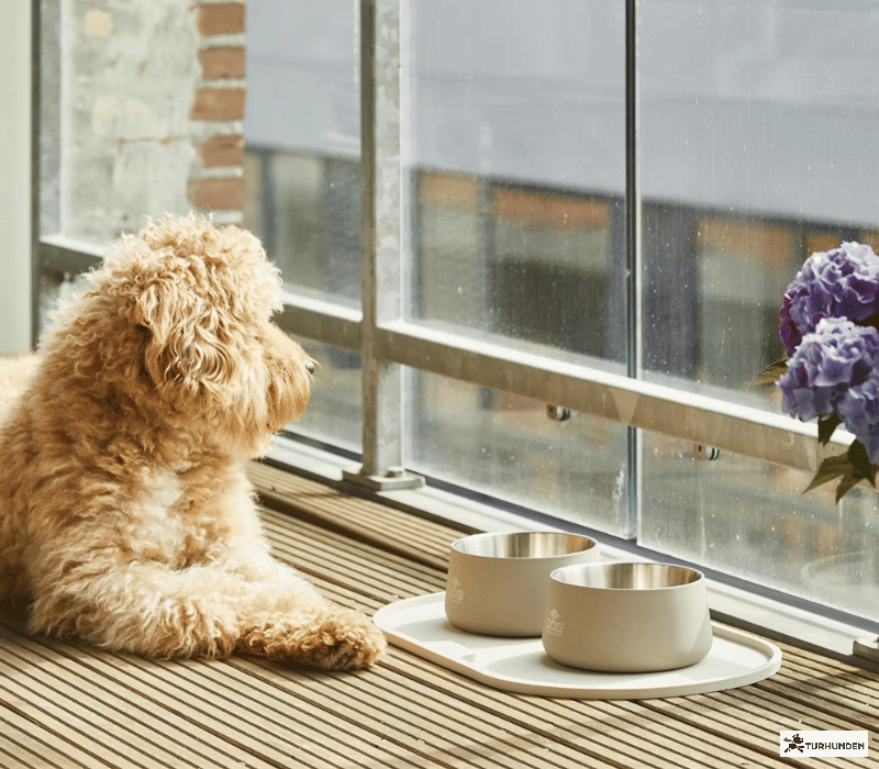 DOG Copenhagen Libra Skleunderlag