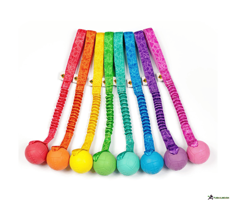 Dog's Craft Hoko Basic Rainbow