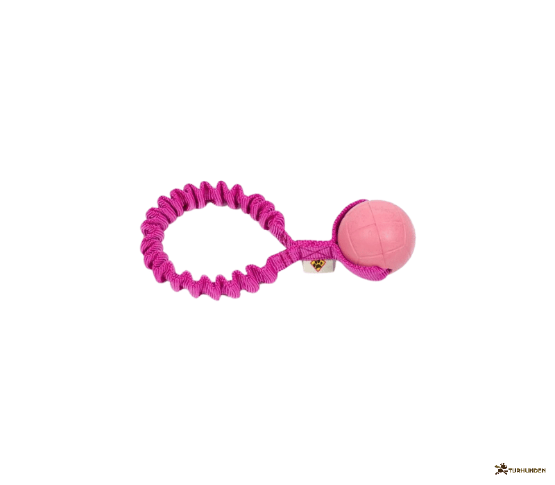 Dog�s Craft Hoko Ringo Rainbow
