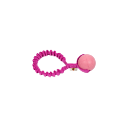 Dog�s Craft Hoko Ringo Rainbow