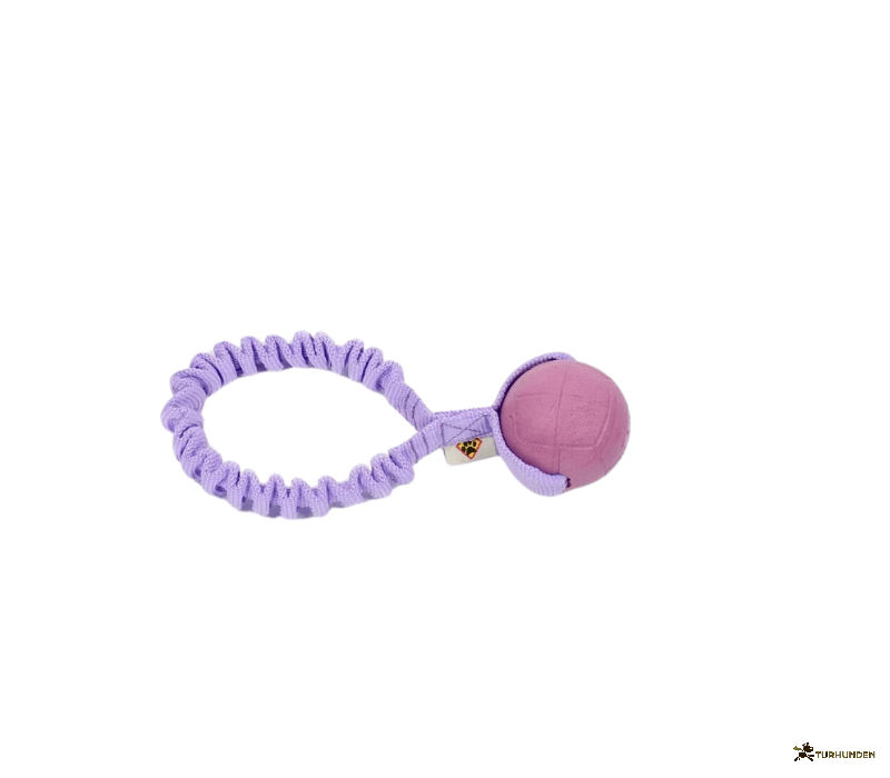 Dog�s Craft Hoko Ringo Rainbow