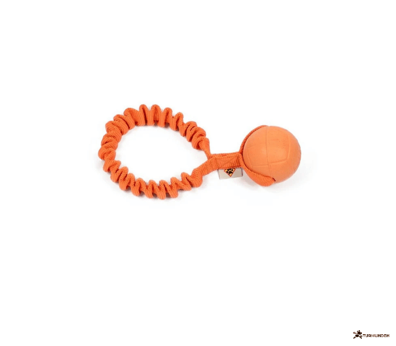 Dog�s Craft Hoko Ringo Rainbow