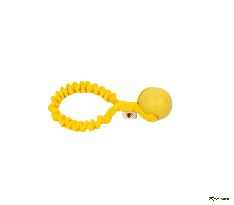 Dog�s Craft Hoko Ringo Rainbow