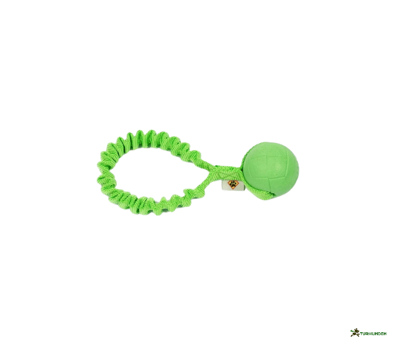 Dog�s Craft Hoko Ringo Rainbow