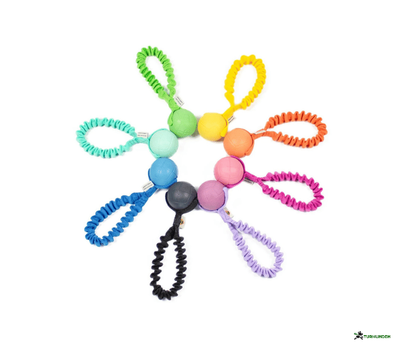 Dog�s Craft Hoko Ringo Rainbow