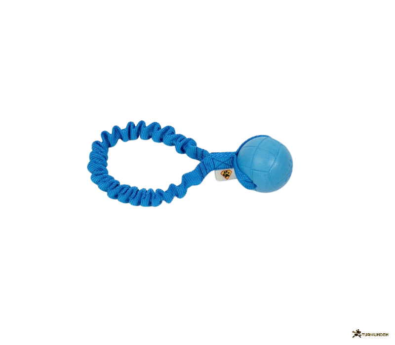 Dog�s Craft Hoko Ringo Rainbow