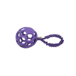 Dog's craft Hollee