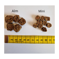 Dolina Noteci Superfood lufttrret