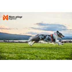 Non-Stop dogwear Line Harness 5.0
