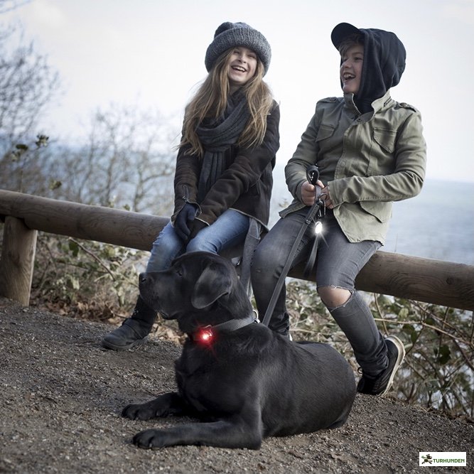 Orbiloc Dog Dual - Rd