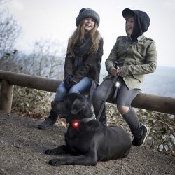 Orbiloc Dog Dual - Rd