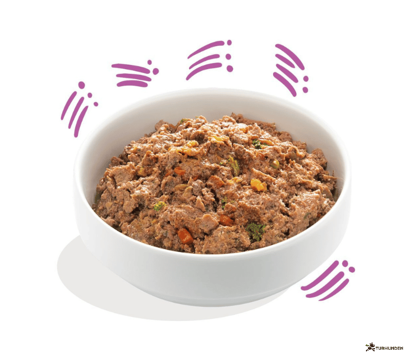 Edgard Cooper Pate Vildt &amp; And