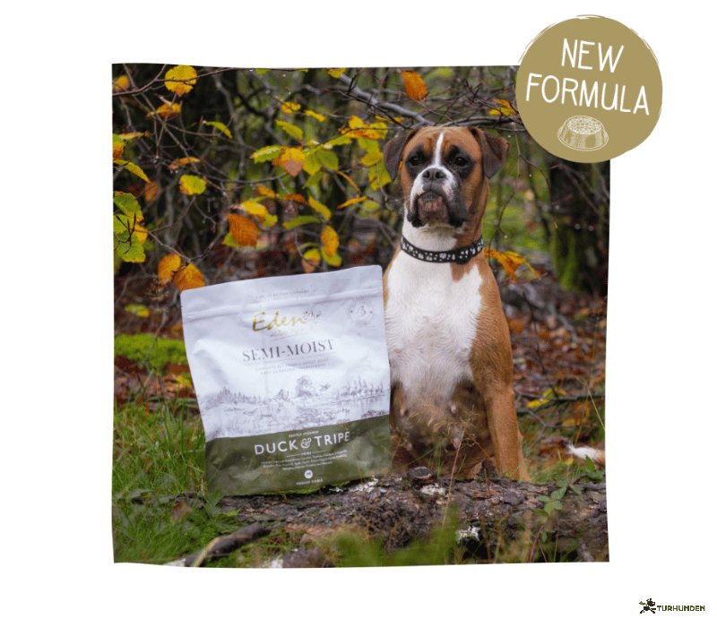 Eden Duck &amp; Tripe, Semimoist 