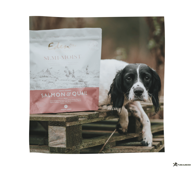 Eden Salmon &amp; Quail, Semimoist 