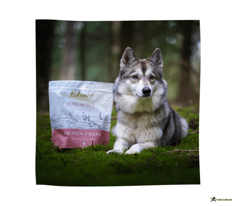 Eden Salmon &amp; Quail, Semimoist 