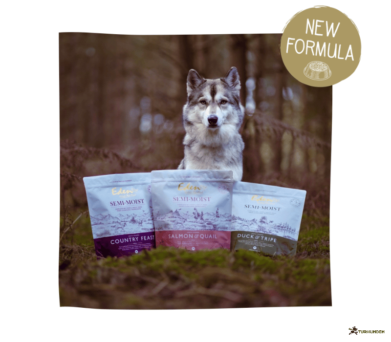 Eden Salmon &amp; Quail, Semimoist 