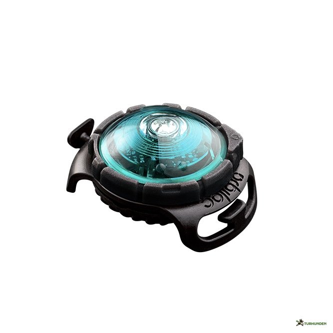 Orbiloc Dog Dual - Turkis