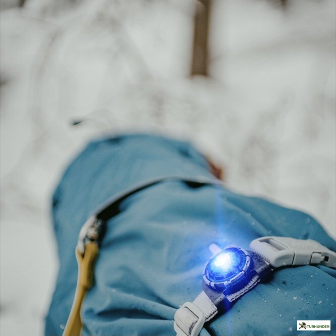 Orbiloc Dog Dual - Bl�