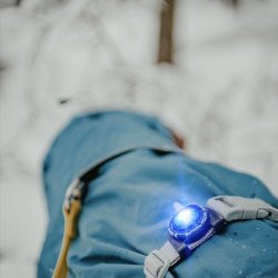 Orbiloc Dog Dual - Bl�