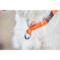 Non-stop dogwear Cruise Collar - Orange