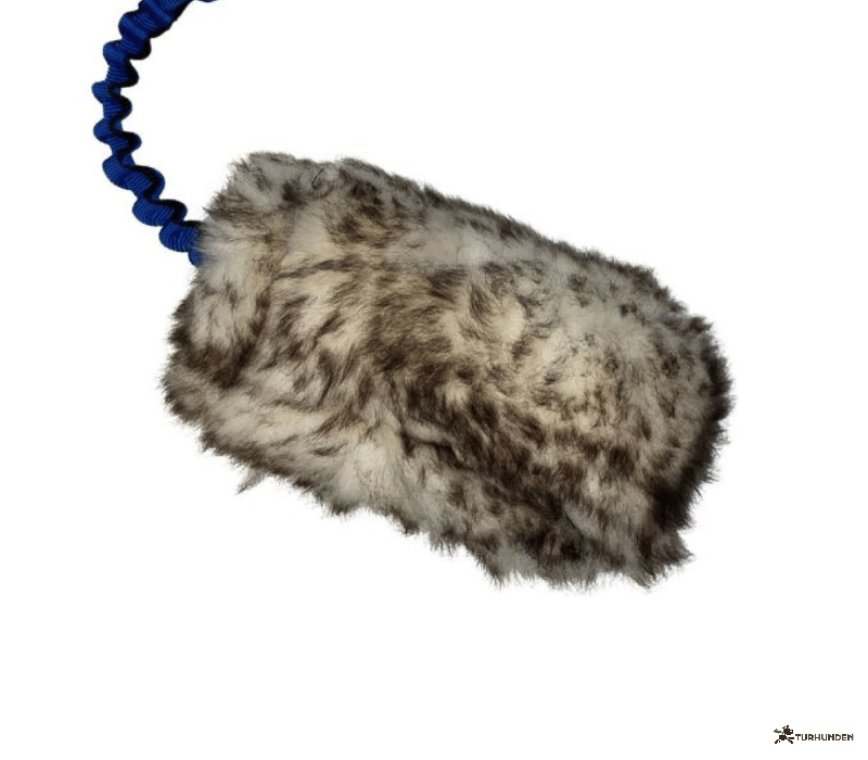 Fenriz Aktiv Bungee Chaser m. F�reskind