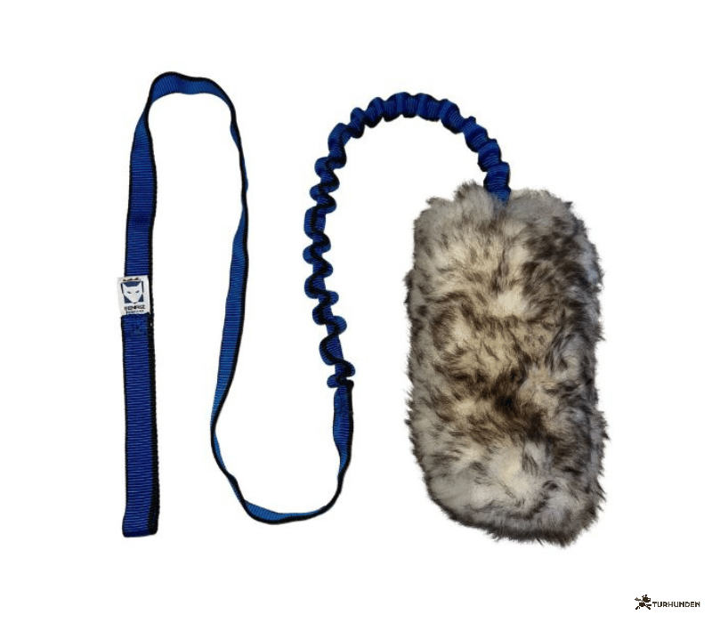 Fenriz Aktiv Bungee Chaser m. F�reskind
