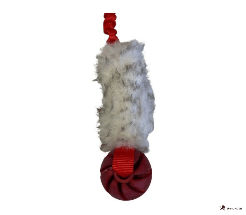 Fenriz Aktiv Bungee m. F�reskind og Bold 