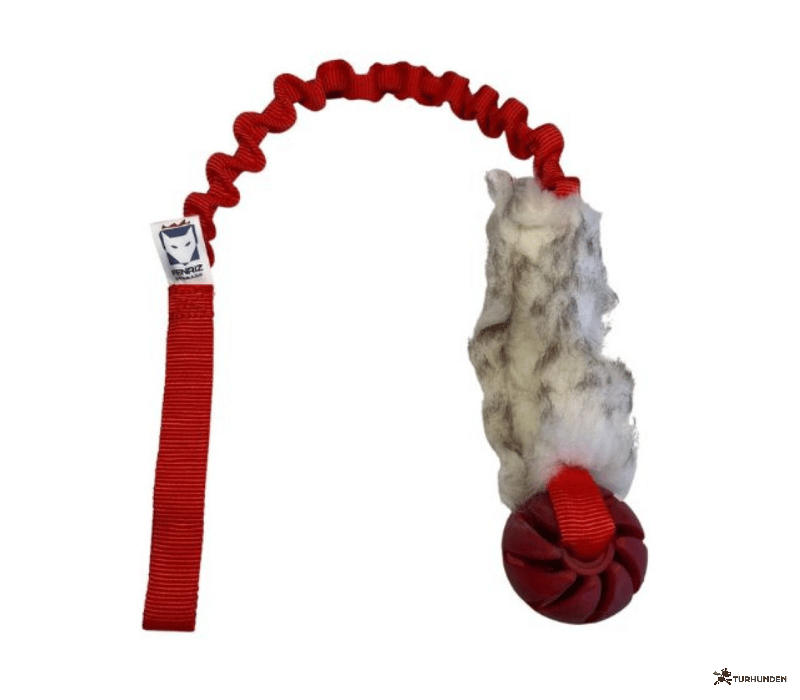 Fenriz Aktiv Bungee m. F�reskind og Bold 