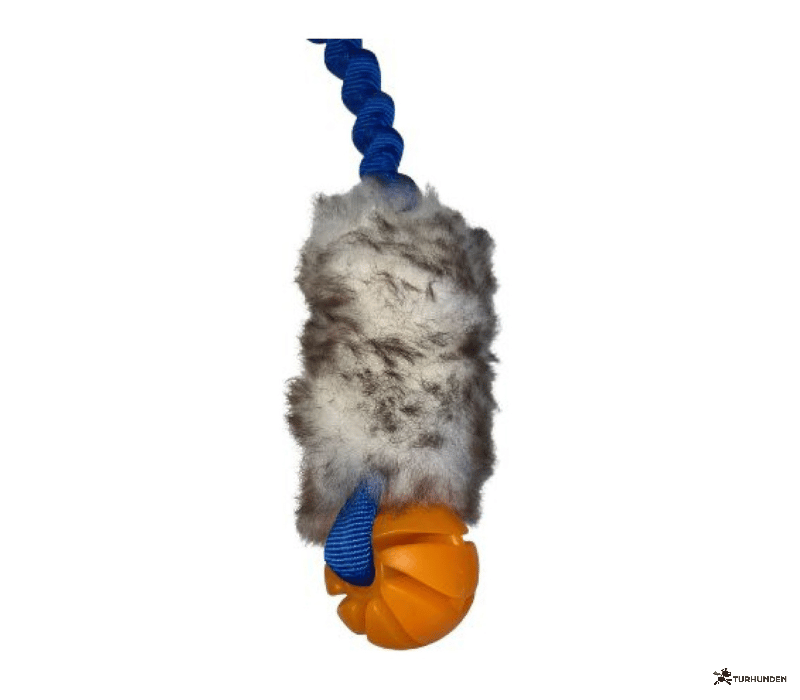 Fenriz Aktiv Bungee m. F�reskind og Bold 