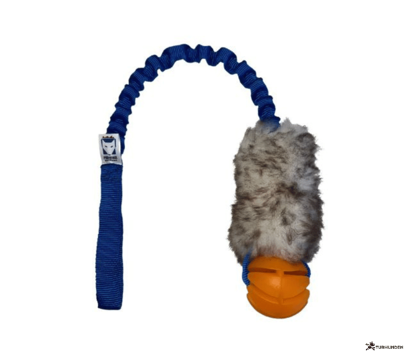 Fenriz Aktiv Bungee m. F�reskind og Bold 