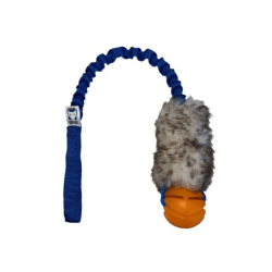 Fenriz Aktiv Bungee m. F�reskind og Bold 