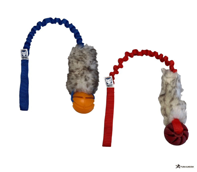 Fenriz Aktiv Bungee m. F�reskind og Bold 