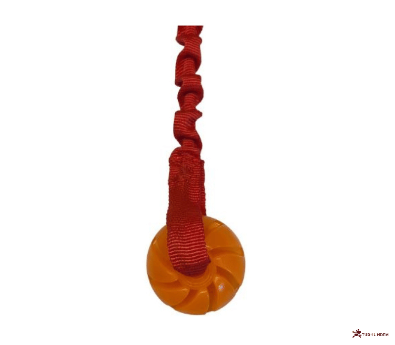 Fenriz Aktiv Bungee m. bold 