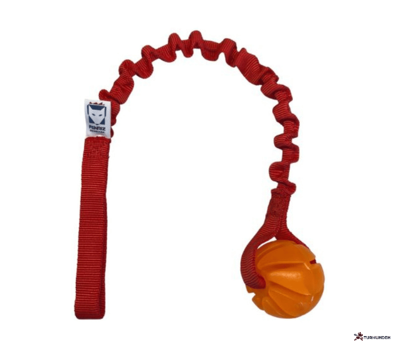 Fenriz Aktiv Bungee m. bold 