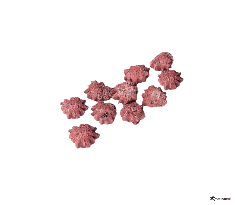 Fred - Snacks Vildt &amp; Hyldebr