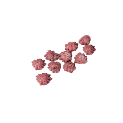 Fred - Snacks Vildt &amp; Hyldebr