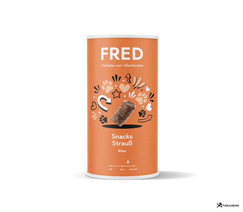 Fred - Snacks Struds