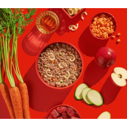 Fred - JUNIOR Oksekd med nudler